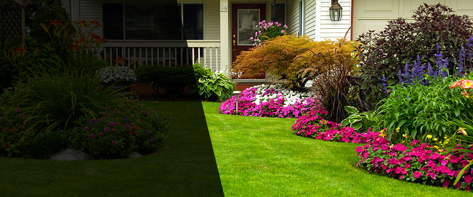 Lansing Landscapers